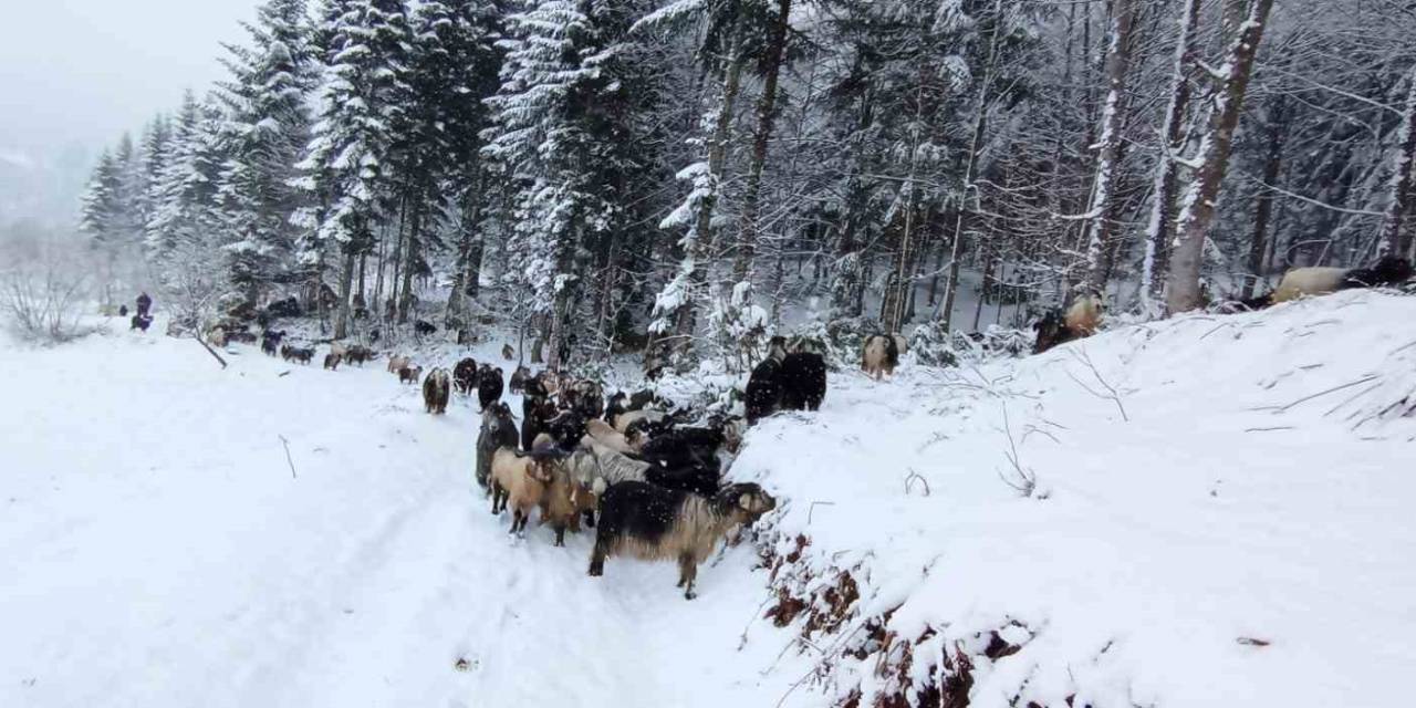 Sakarya’nın Yüksek Kesimleri Beyaz Gelinliğini Giydi