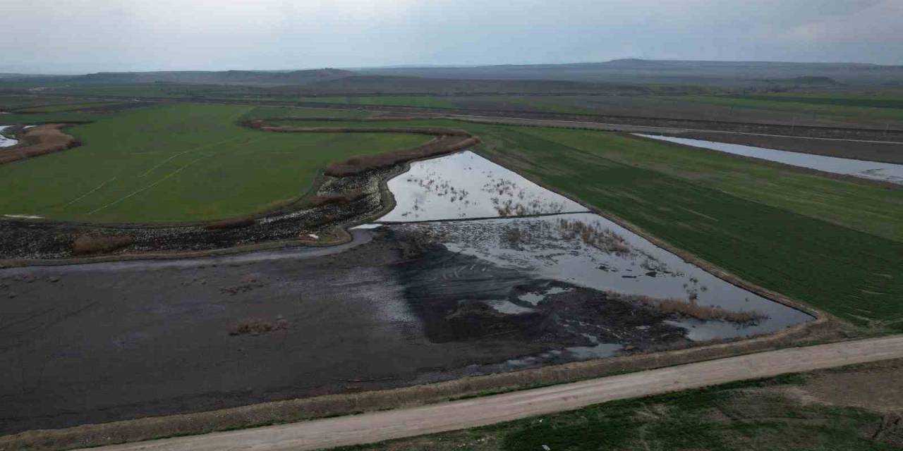 Ankara’da Çevre Felaketi: Firmalar Atıklarını Tarlaya Bırakıyor