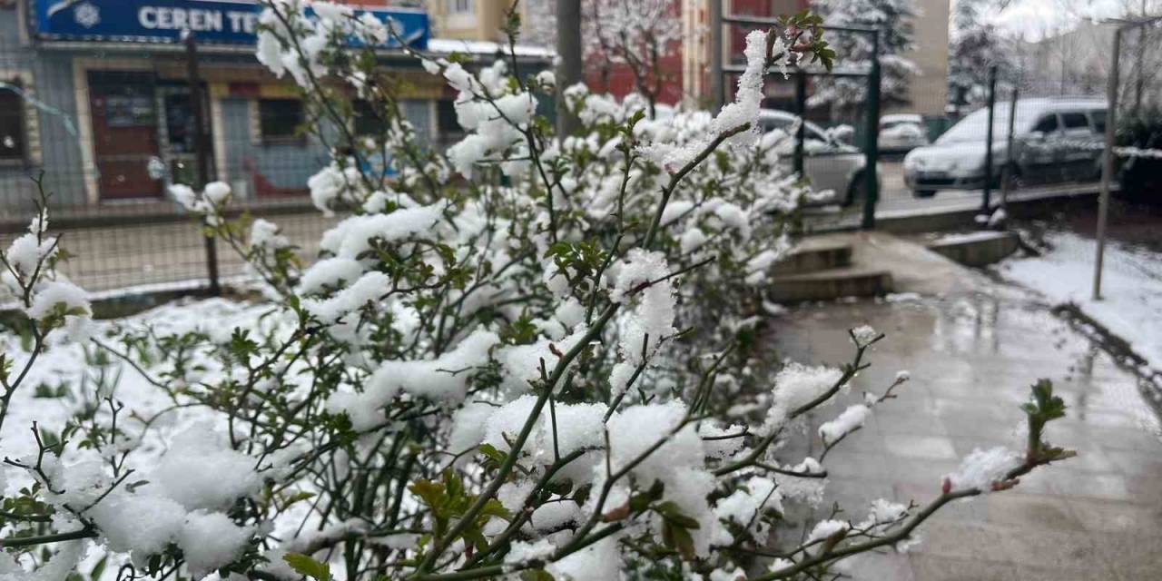 Eskişehir Kent Merkezinde Kar Yağışı Etkili Oldu