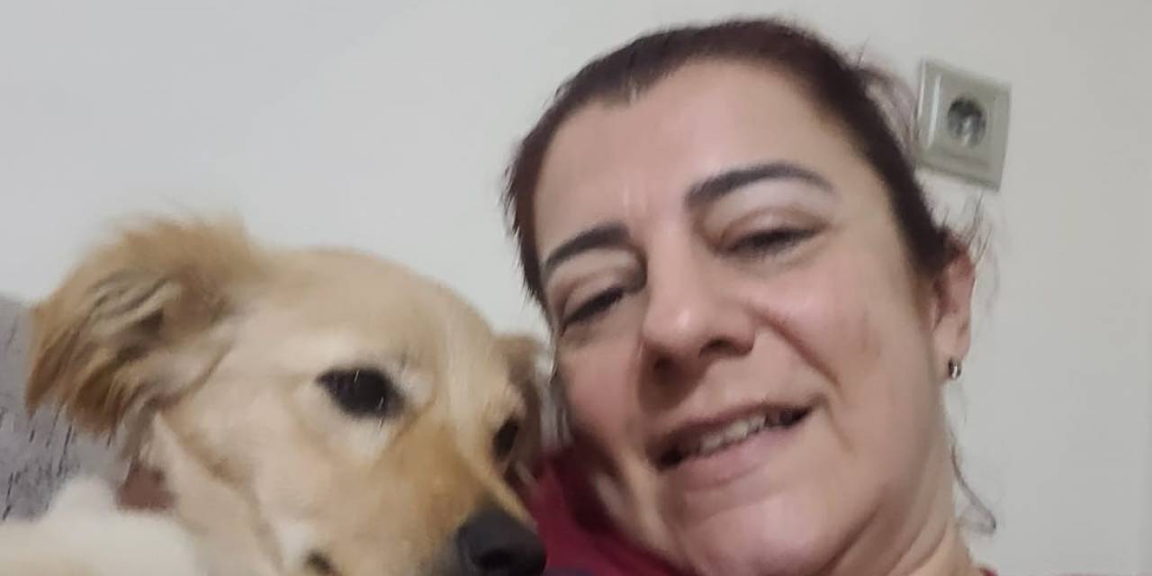 Aydın’daki Köpek Eğitmeni Mağdurlarının Sayısı Artmaya Başladı