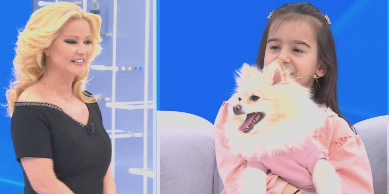 Kayıp Köpek Müge Anlı’da Bulundu