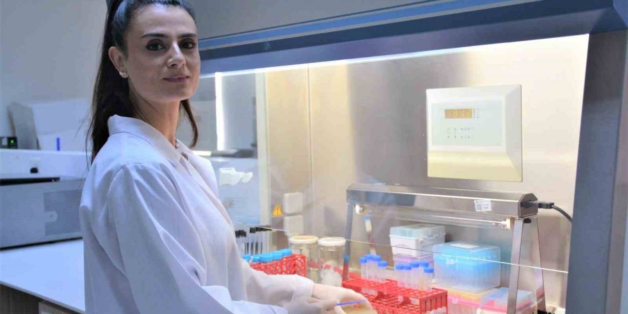 Türk Ve Avustralyalı Bilim İnsanlarının İş Birliği Bakterilerle Mücadelede Çığır Açacak