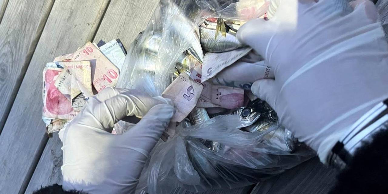 Dilencilerin İlginç Zulası