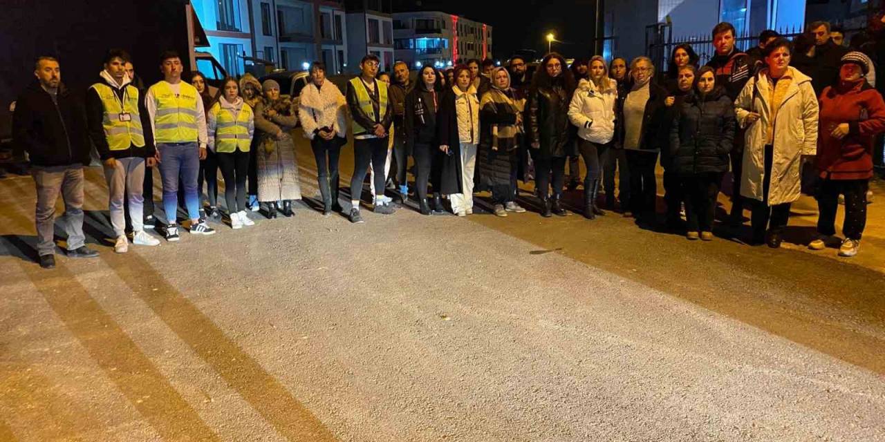 İnegöl’de Yavru Kedilerin Katledilmesine Hayvanseverlerden Tepki