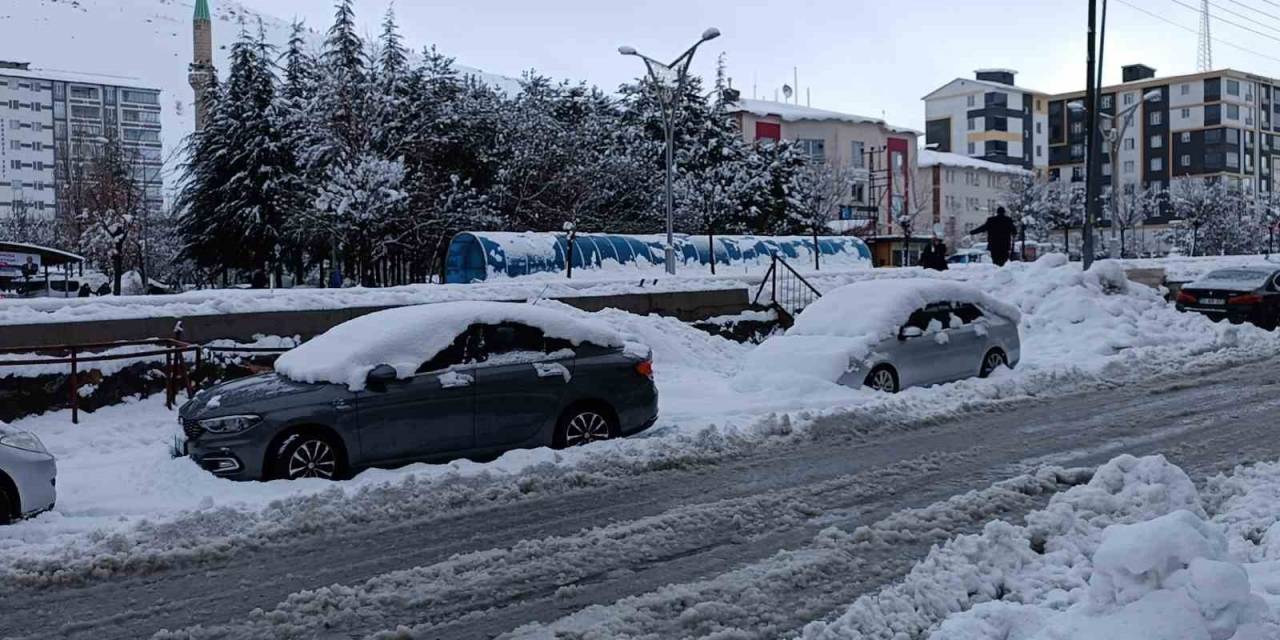 Bitlis’te 103 Köy Yolu Ulaşıma Kapandı