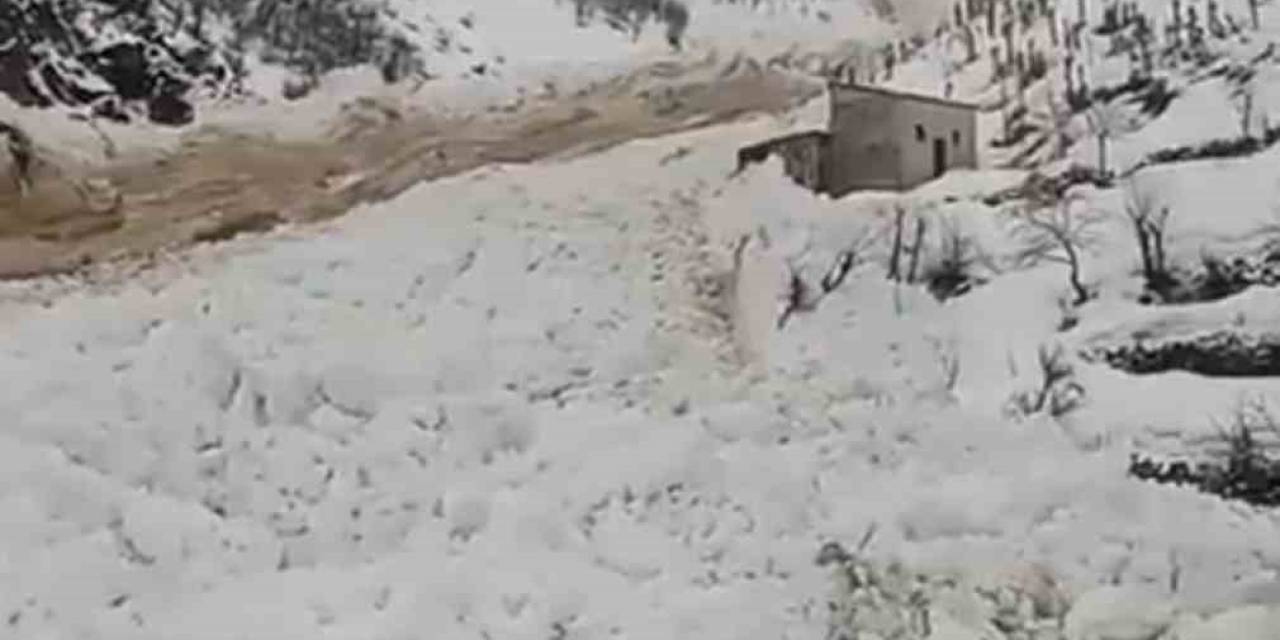 Yüksekova’da Çığ Düştü, Köyün Şehirle Ulaşımı Kesildi