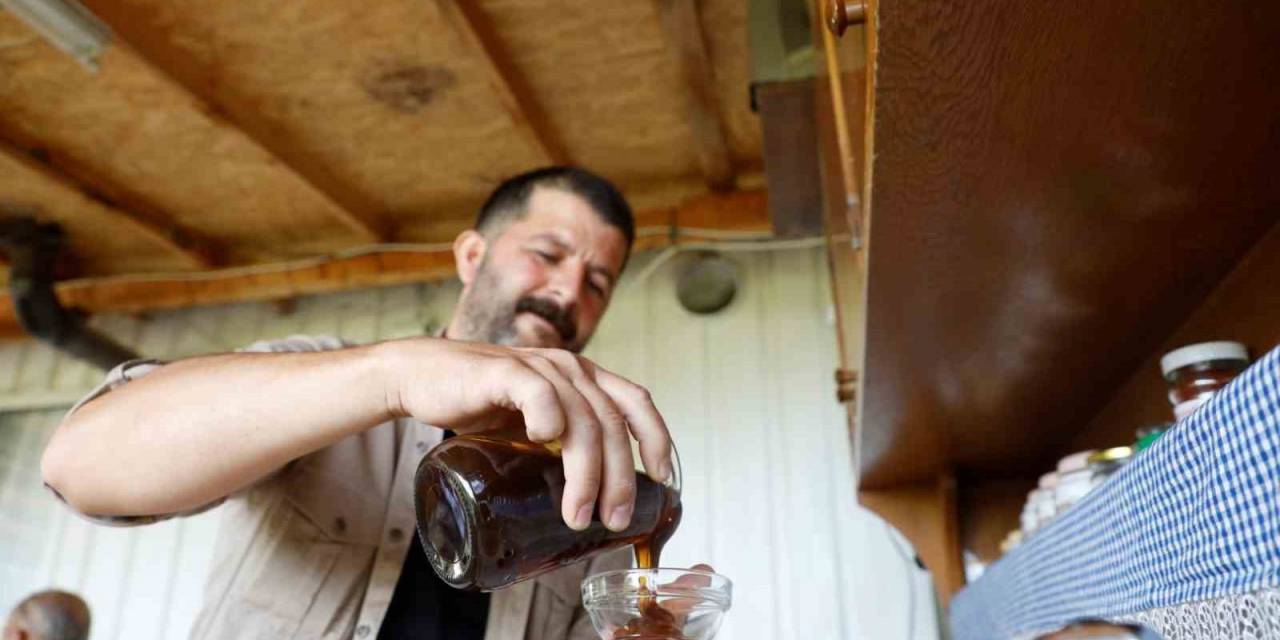 İnegöl’de ‘Karaçalı’ Balının Coğrafi İşareti İçin Çalışma Yapılacak