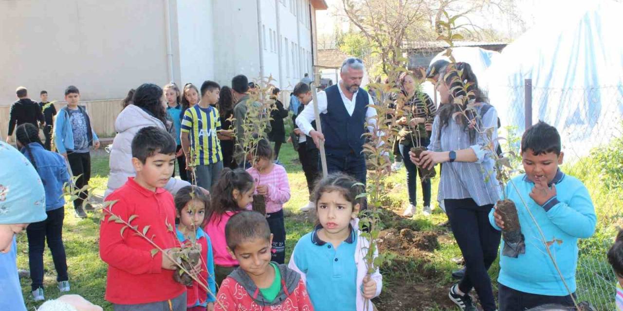 Köyceğiz’de Okul Bahçesi Keçiboynuzu Fidanları İle Donatıldı
