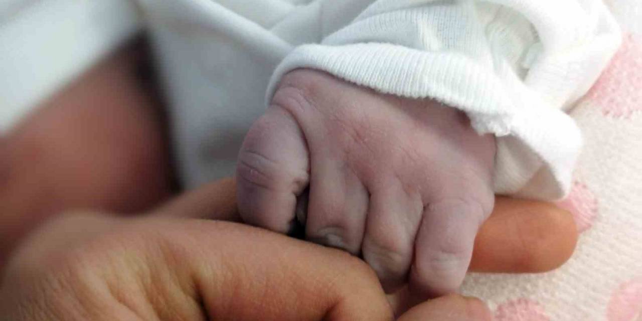 Aydın’da Bebeklere En Çok Verilen İsimler Belli Oldu