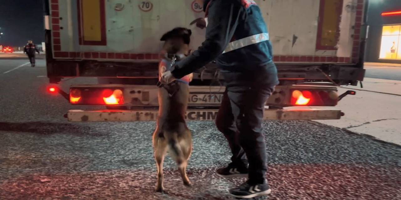 Jandarmadan ‘Zıpkın-4’ Operasyonu