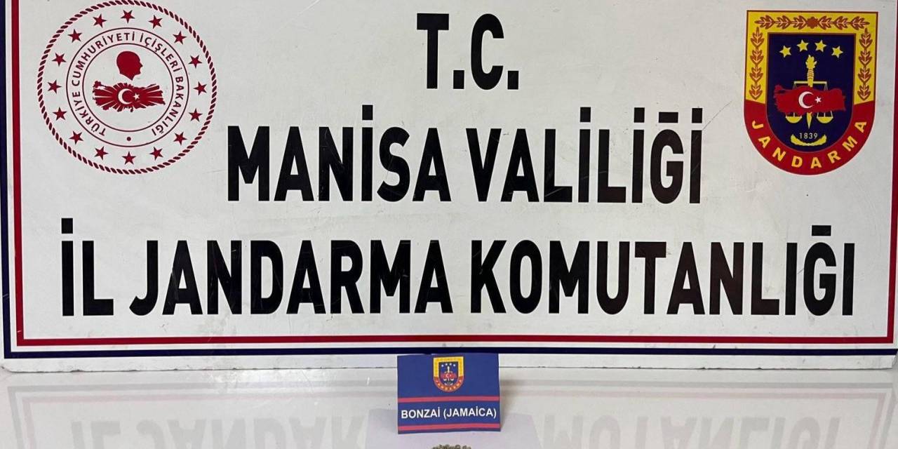 Üst Aramasından Bonzai Çıktı