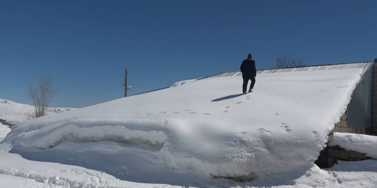 Muş’ta Tek Katlı Evler Ve Ahırlar Kara Gömüldü