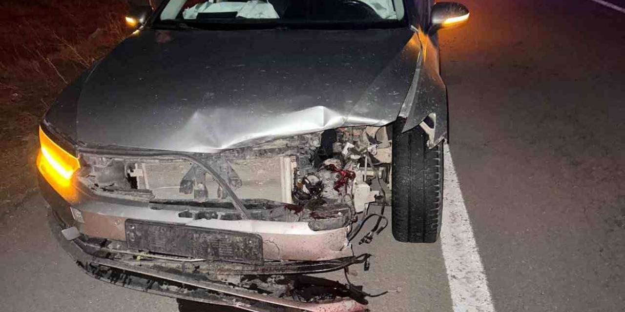 Ak Parti Ardahan İl Başkanı’nın Aracı Domuz Sürüsüne Çarptı