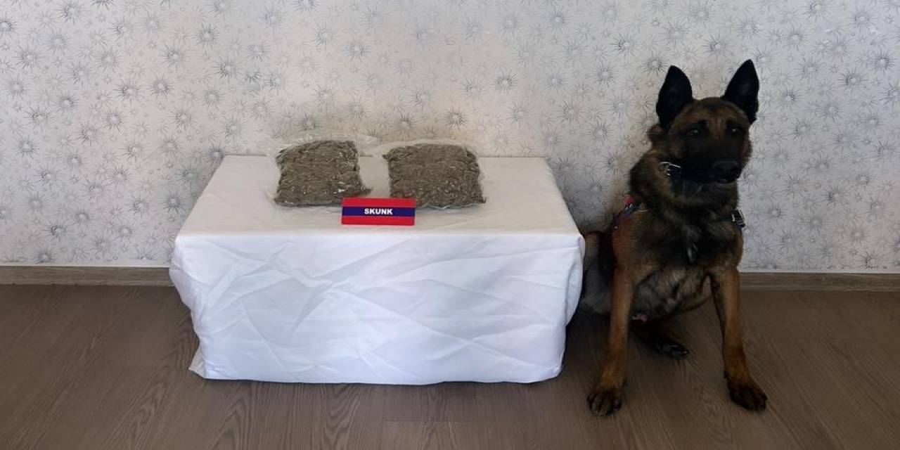 Uyuşturucu İle Yolcu Otobüsüne Bindi, Jandarma Enseledi