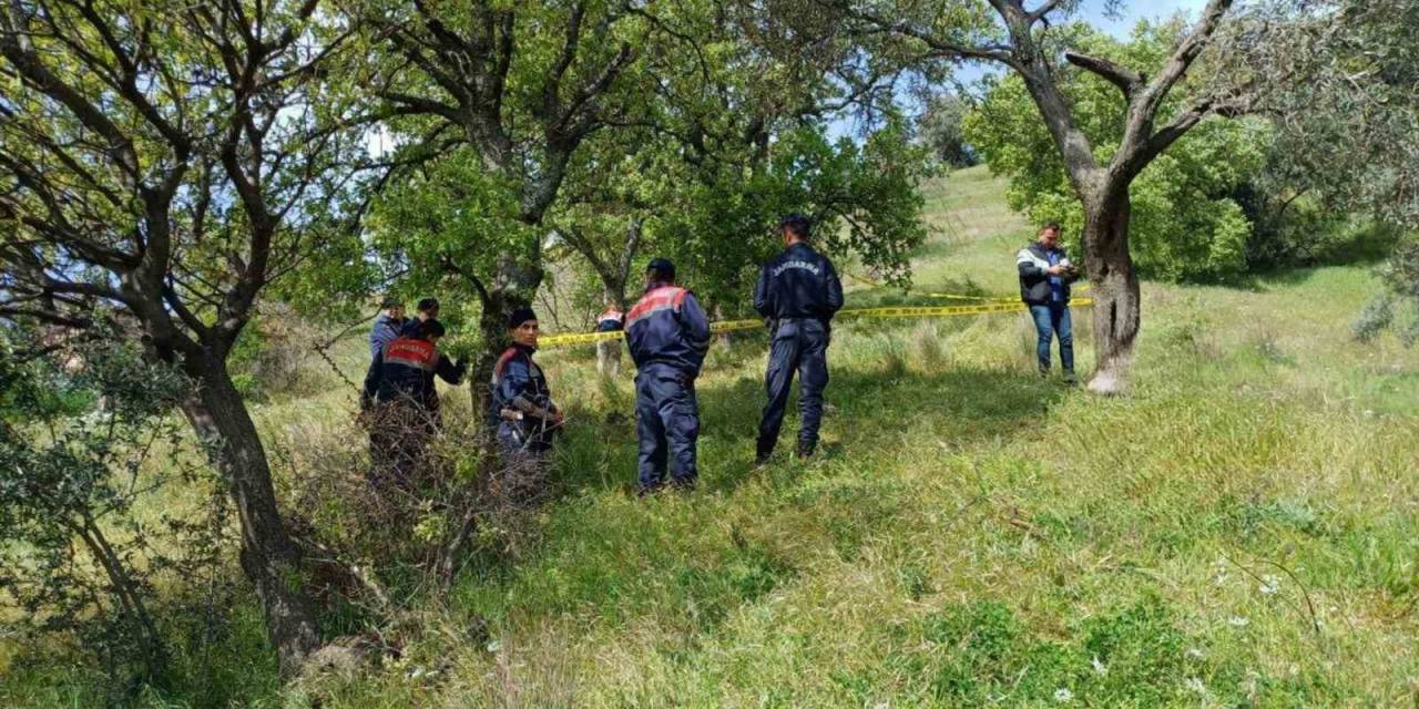 Aydın’da Bir Kişi Ağaçta Asılı Halde Bulundu