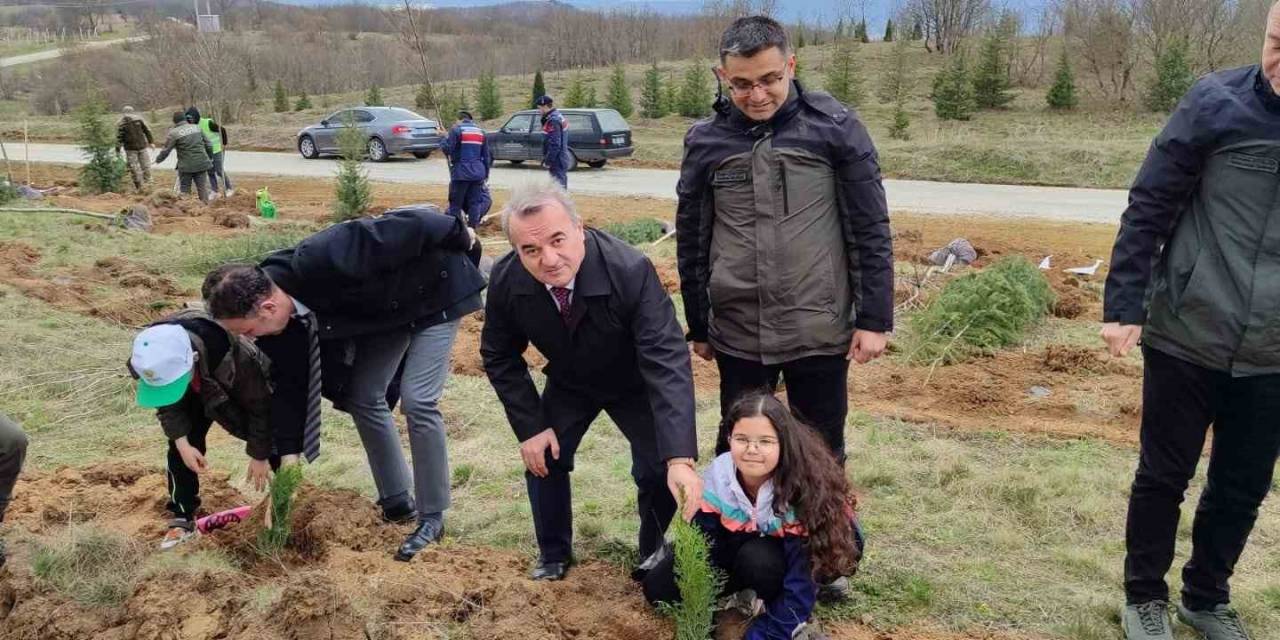 Çok Sayıda Fidan Toprakla Buluştu