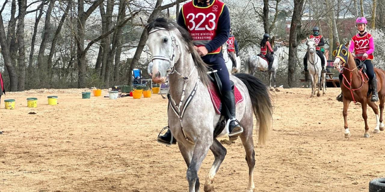 En Dayanıklı Atlar 120 Kilometrelik Parkurda Yarıştı