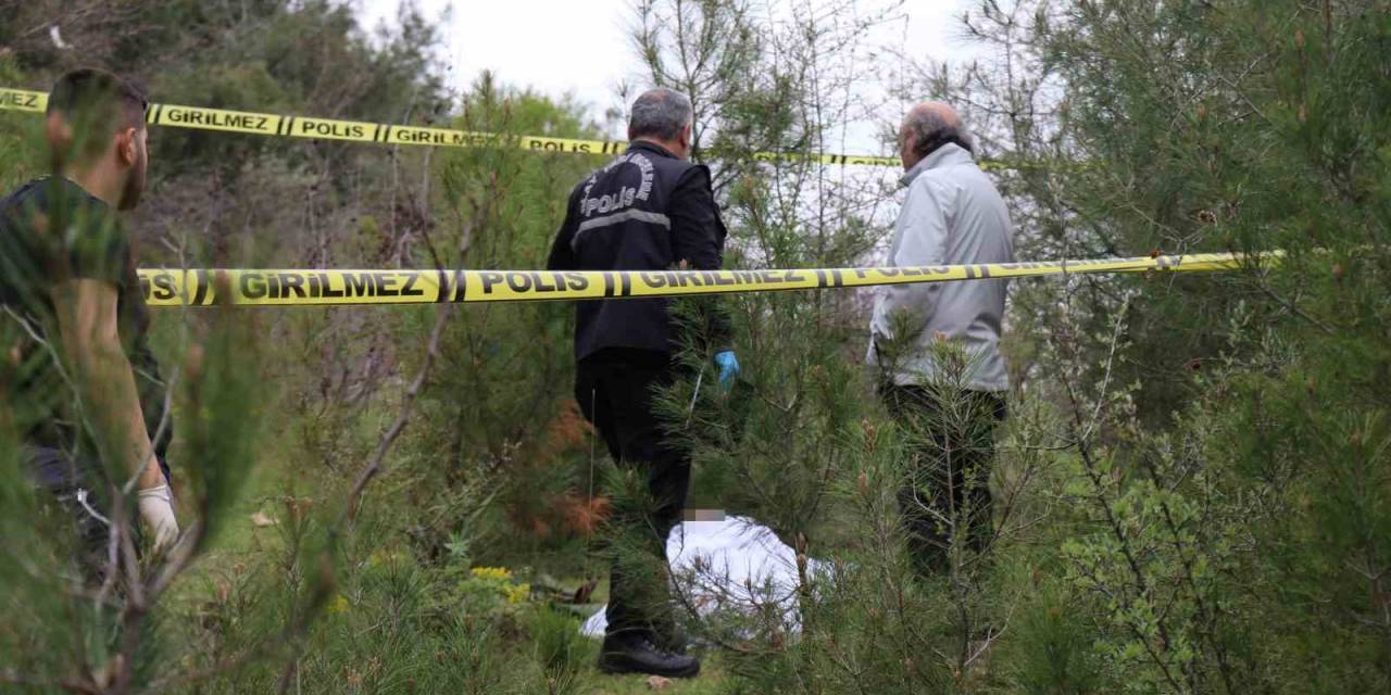 Mantar Aramaya Çıktı, Güvenlikçinin Cesedini Buldu