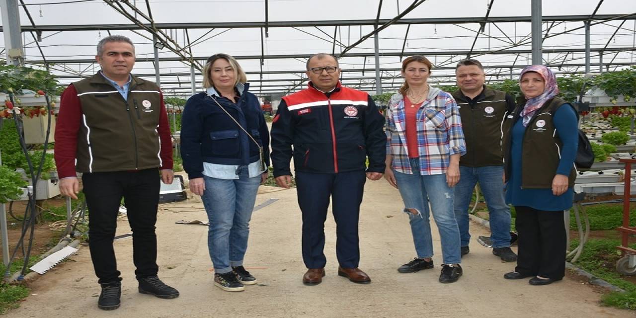 Topraksız Tarımsal Üretim Yapan Serada İncelemelerde Bulunuldu