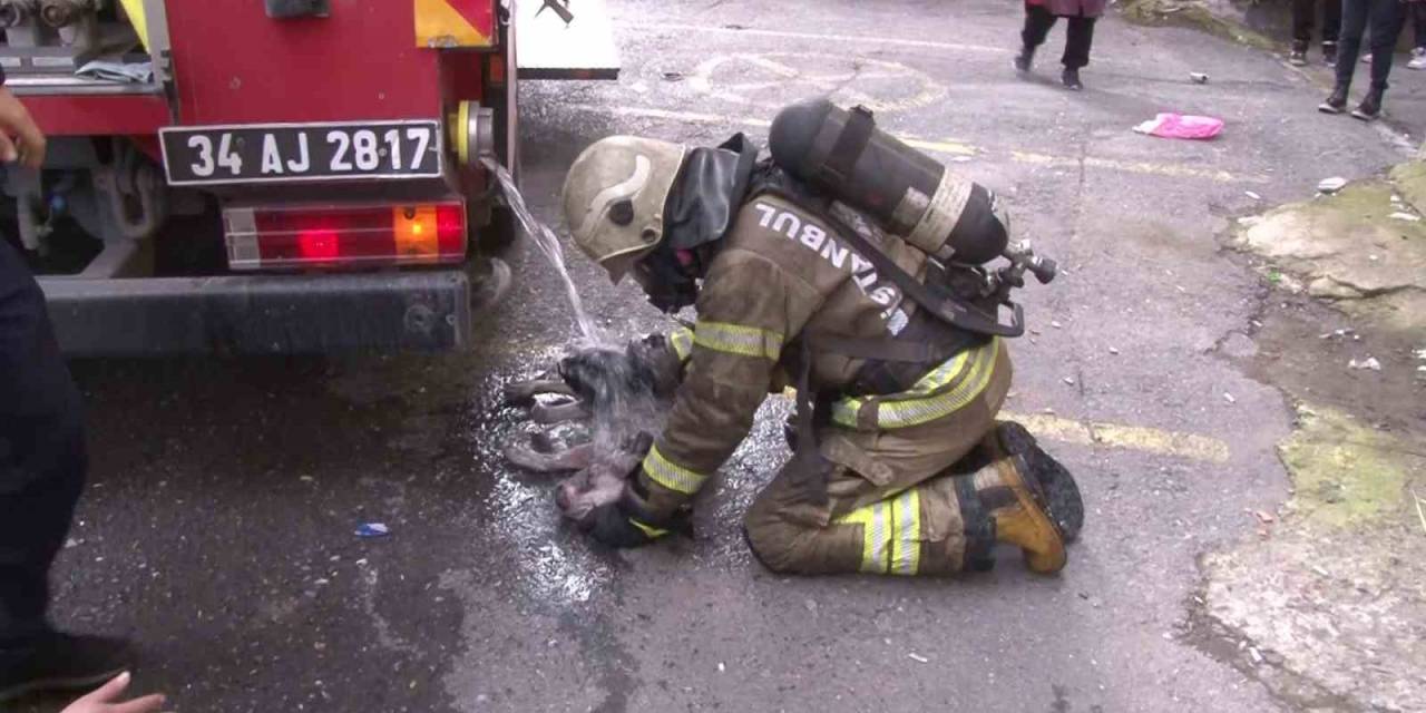 Yangında Mahsur Kalan Köpek İçin Ekipler Seferber Oldu