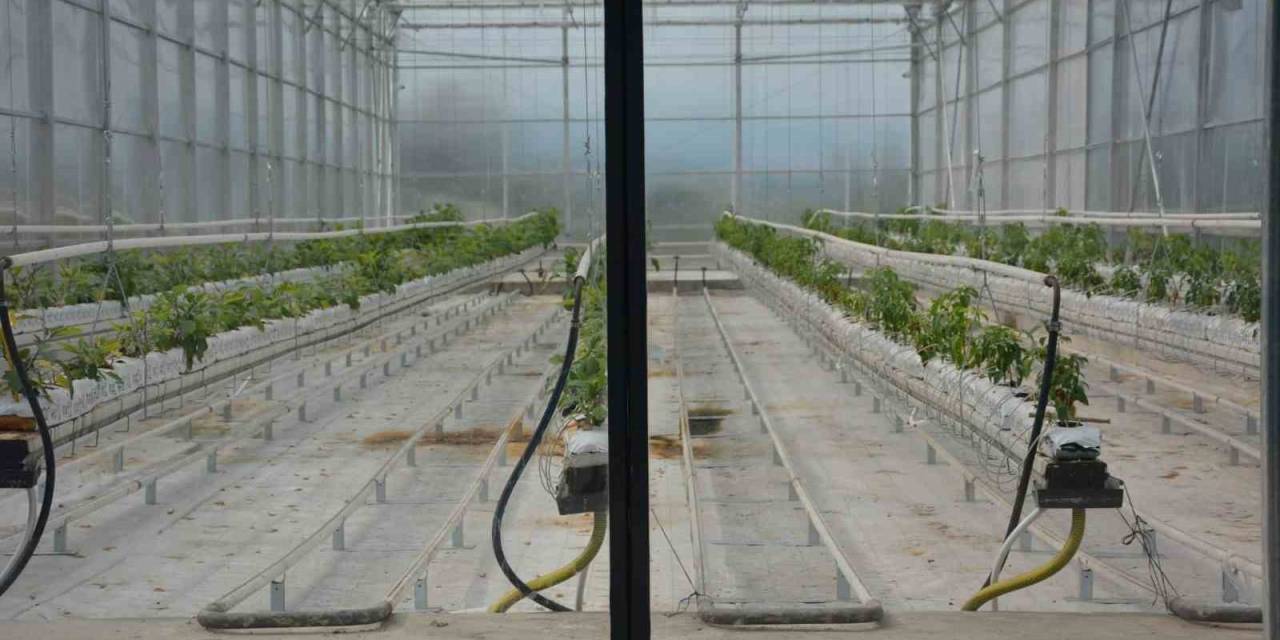 Başkan Atlı; "Tekstil Ve Tarımda Yapay Zekayı Kullanacağız"