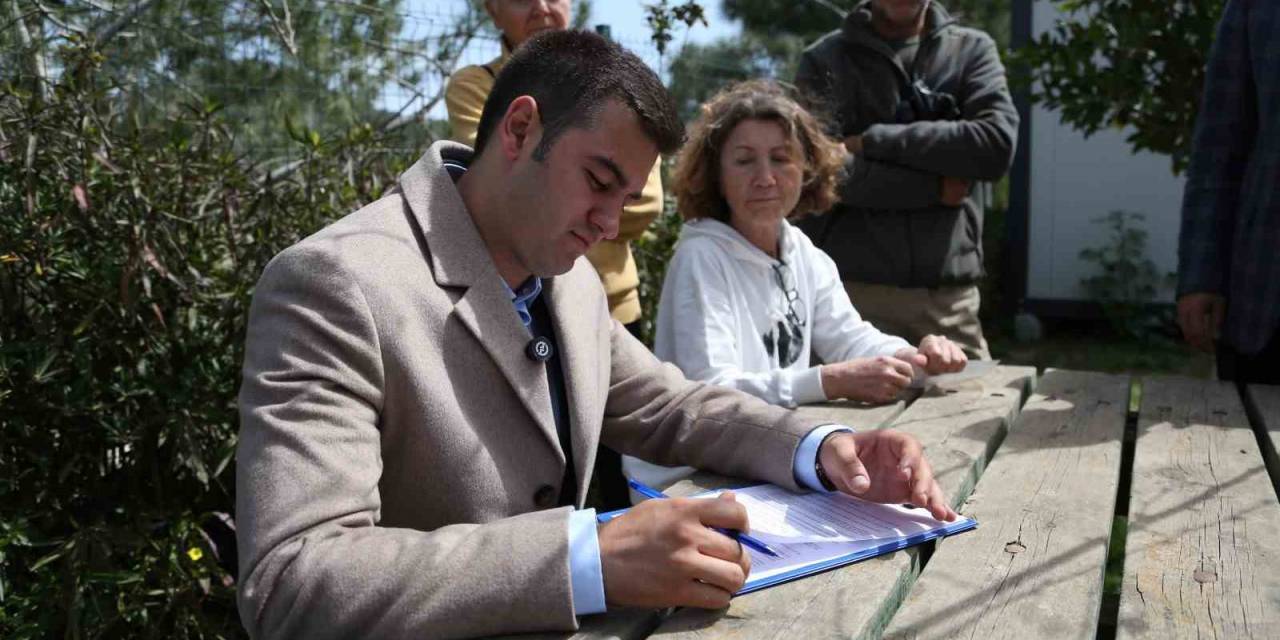 Başkan Adayı Mandalinci’den Sokak Hayvanları İçin Refah Sözü