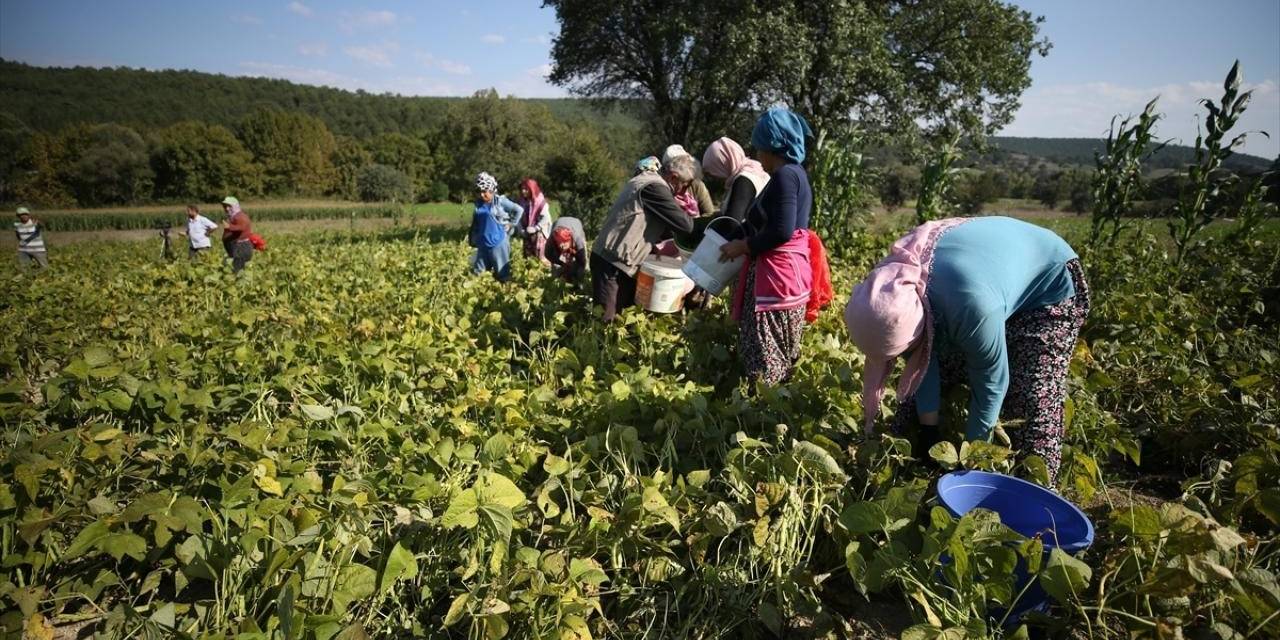 Gmka Destek Verdi, Kadın Üretimi Ve İstihdam Güçlendi