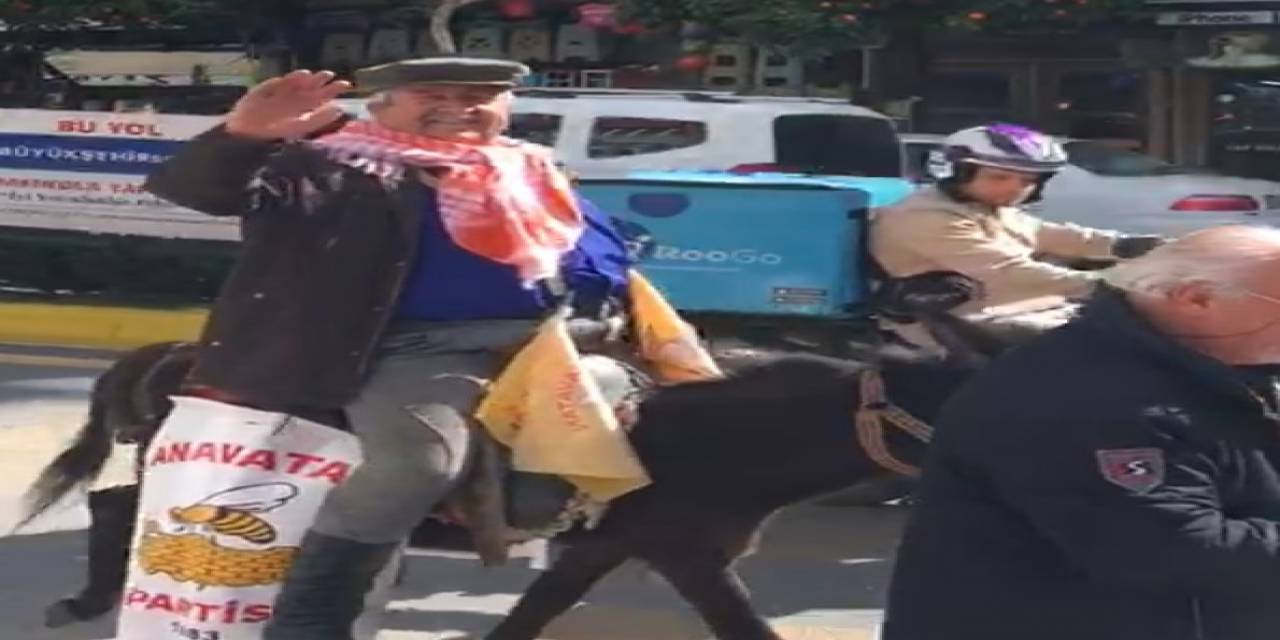 ’çılgın Aday’ Kaplı, Bu Defa Eşekle Şehir Turuna Çıktı