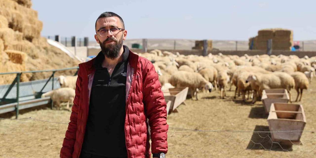 42 Bin Lira Maaş, Sigorta, Dayalı Döşeli Ev Ve Karavana Rağmen Çoban Bulunamıyor