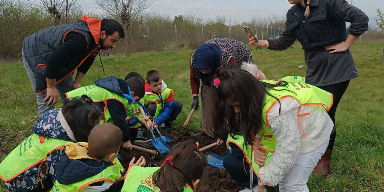 Fidanın Ağaca Nasıl Döndüğünü Öğrendiler