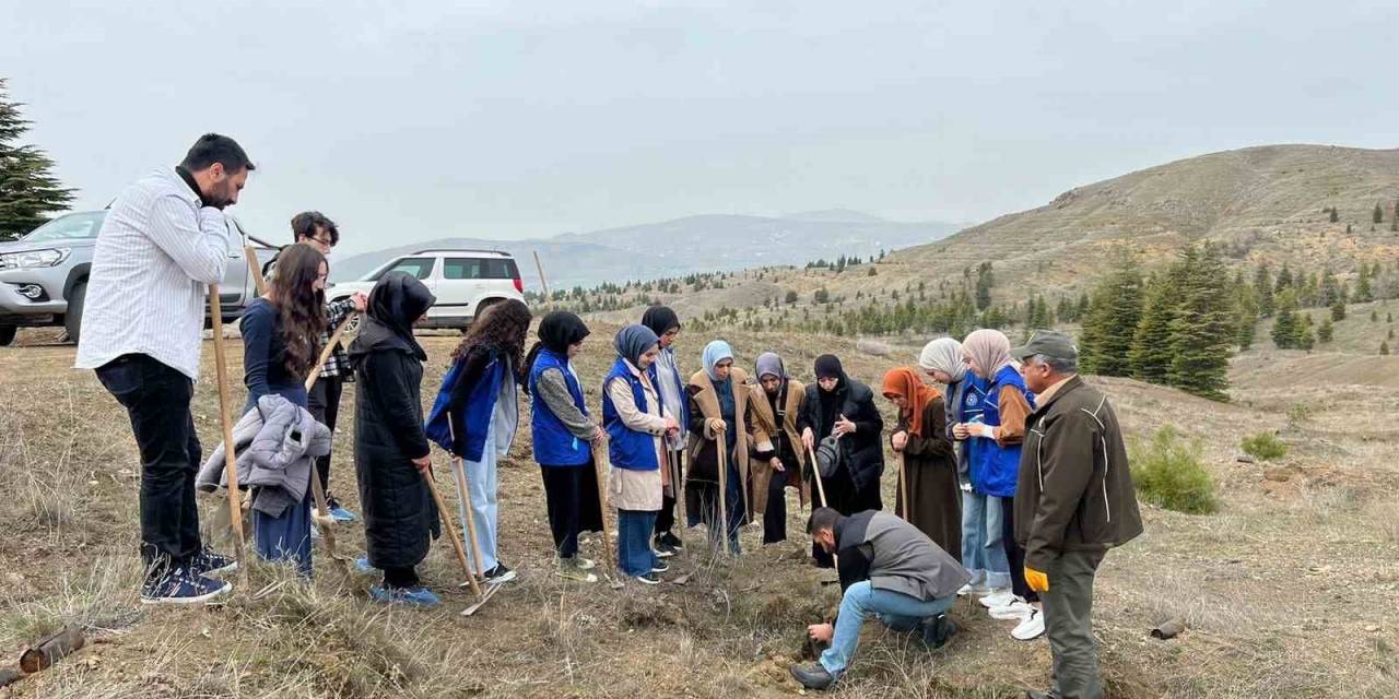 Elazığ’da Öğrenciler Fidan Dikim Etkinliğinde Buluştu