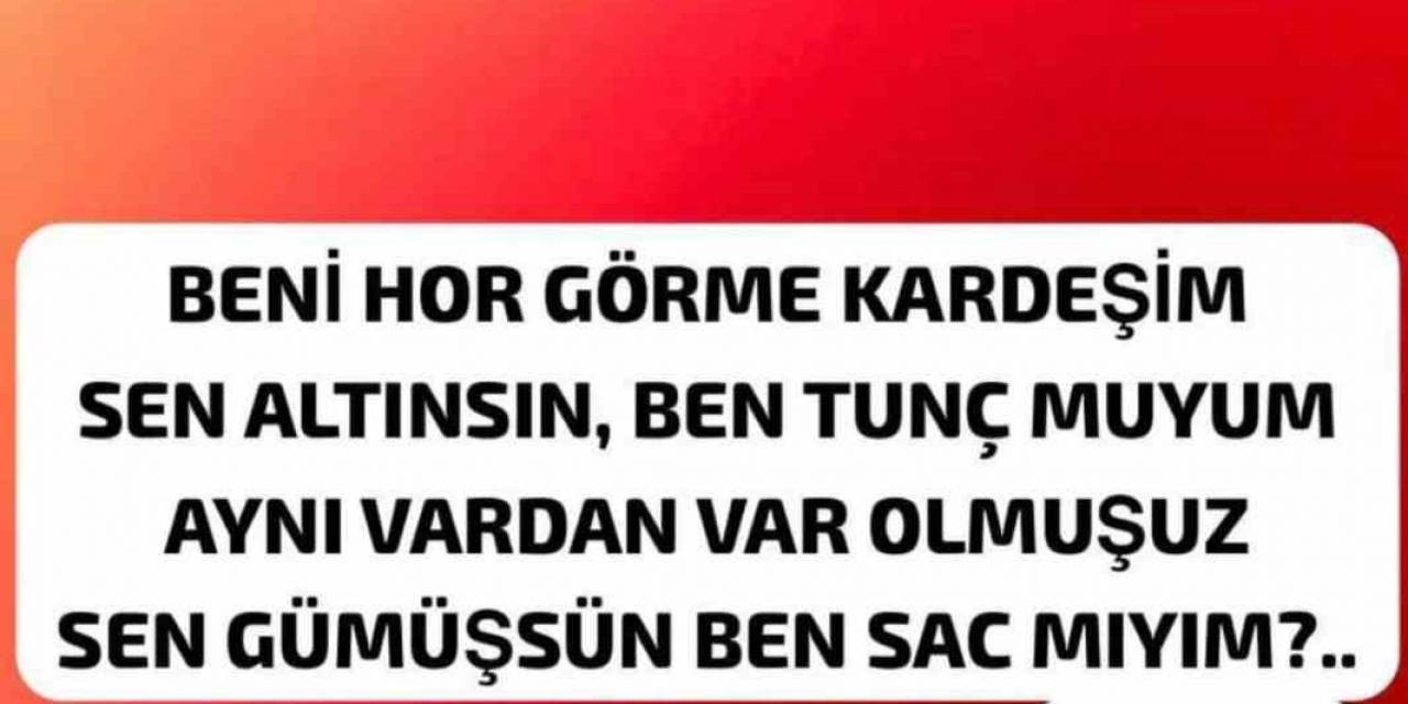 Hulusi Şevkan’dan Aşık Veysel’li Gönderme