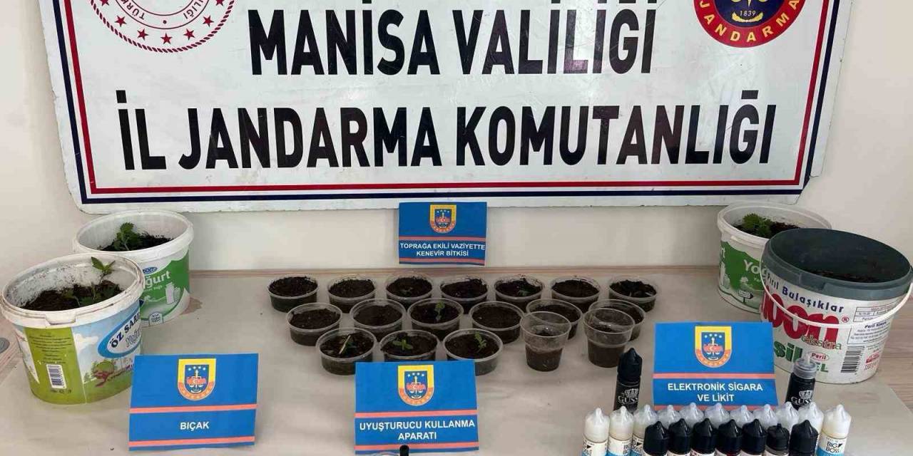 Saksılarda Kenevir Yetiştiriyordu