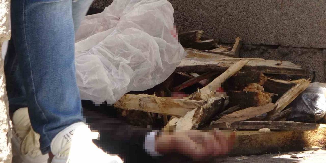 Diyarbakır’da Yasak Aşk Cinayeti: Eşini Ve Sevgilisini Öldürdü