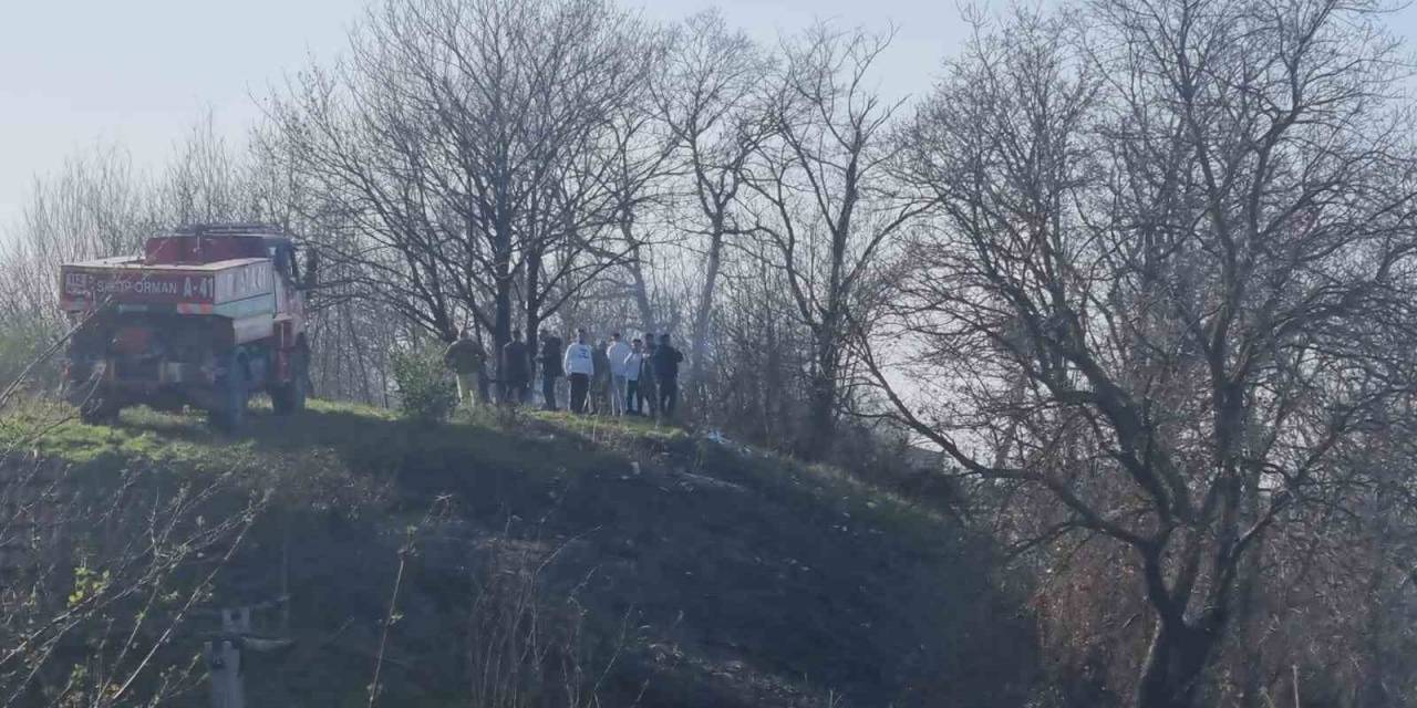 Sinop’ta Orman Yangını