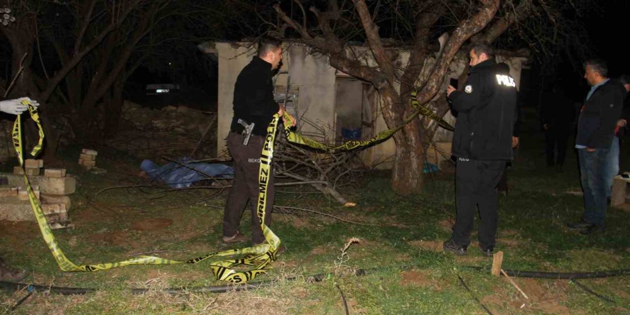Ağaç Budamaya Gittiği Bahçede Cansız Bedeni Bulundu