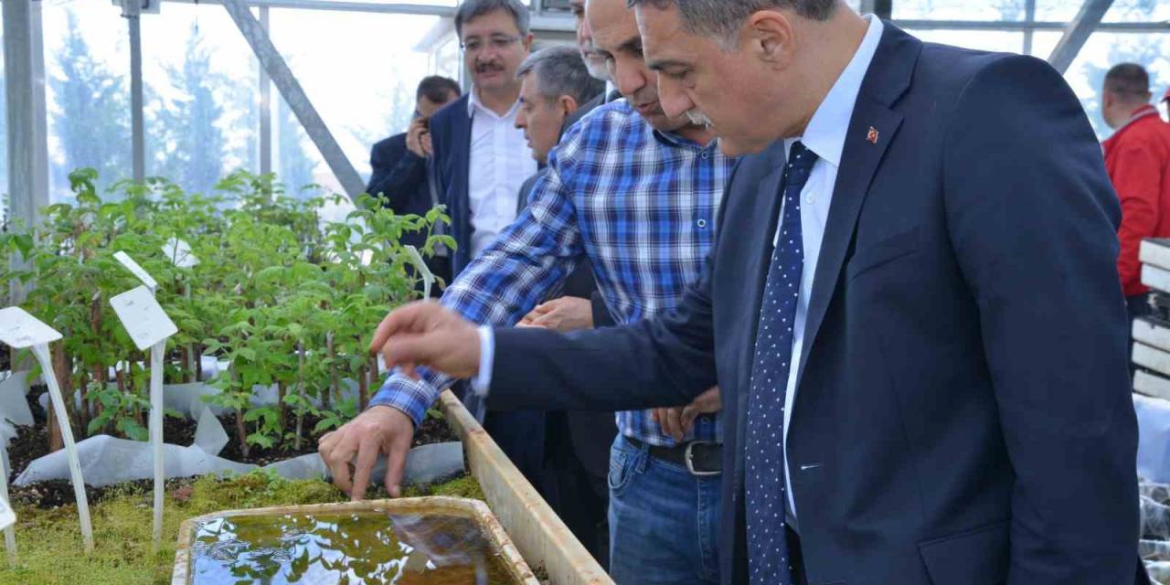 Ahi Evran Üniversitesi’nde ’dut Bahçesi Tesisi Kurulum’ Projesi Hayata Geçiriliyor