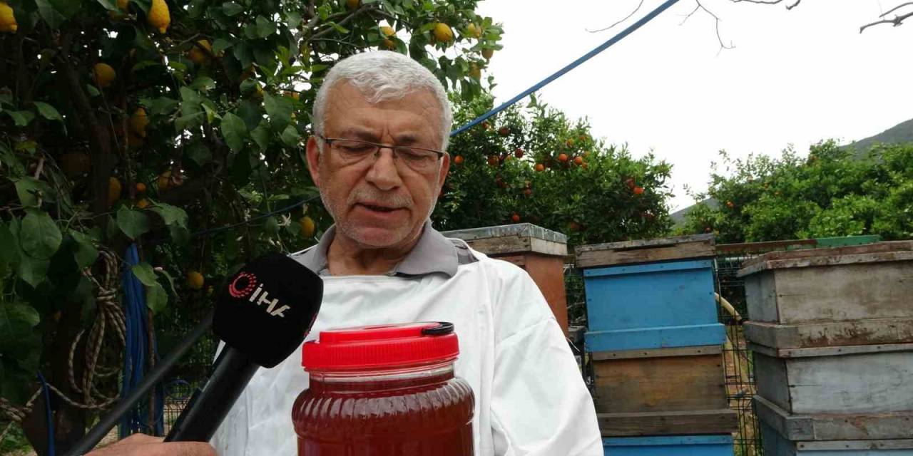 "Mezla Balı" Avrupa’da Derece Hedefliyor