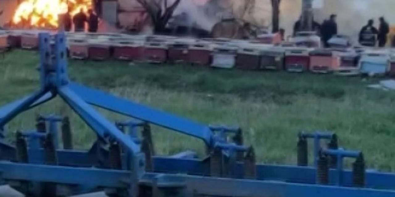 Çiftlikte Çıkan Yangında 21 Büyükbaş Hayvan Telef Oldu