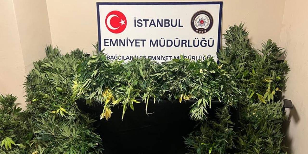 Villa Değil Uyuşturucu Serası