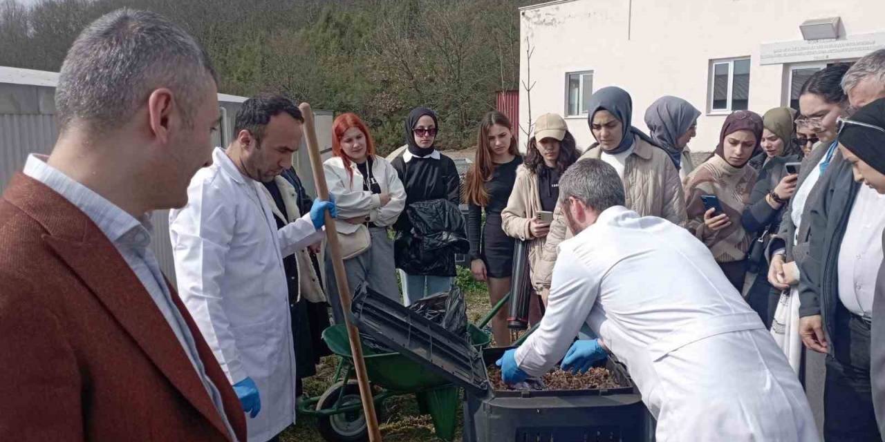 Atıklar Gübre Oldu, Ürün Yetiştirildi