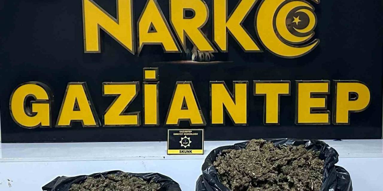 Gaziantep’te Uyuşturucu Operasyonu: 184 Tutuklama