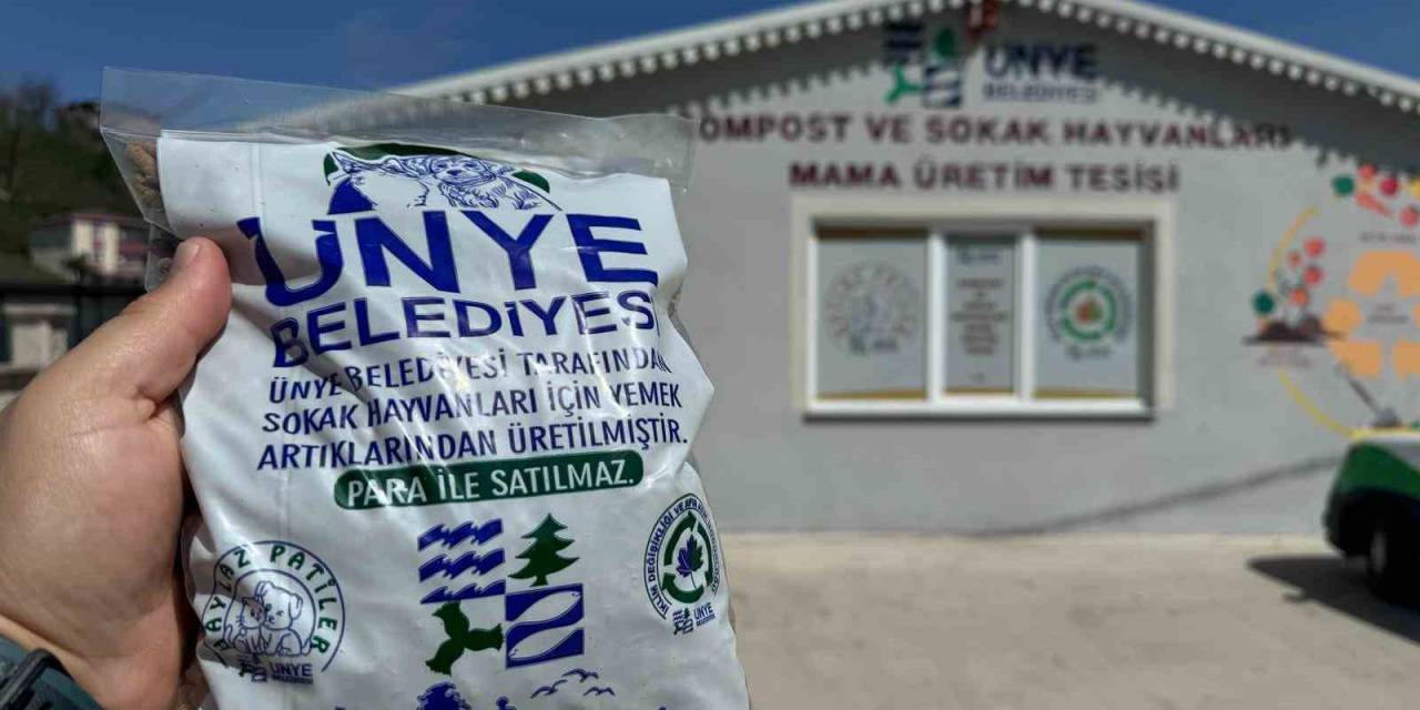 Ünye’de Artan İftar Yemekleri Sokak Hayvanları İçin Mama Oldu