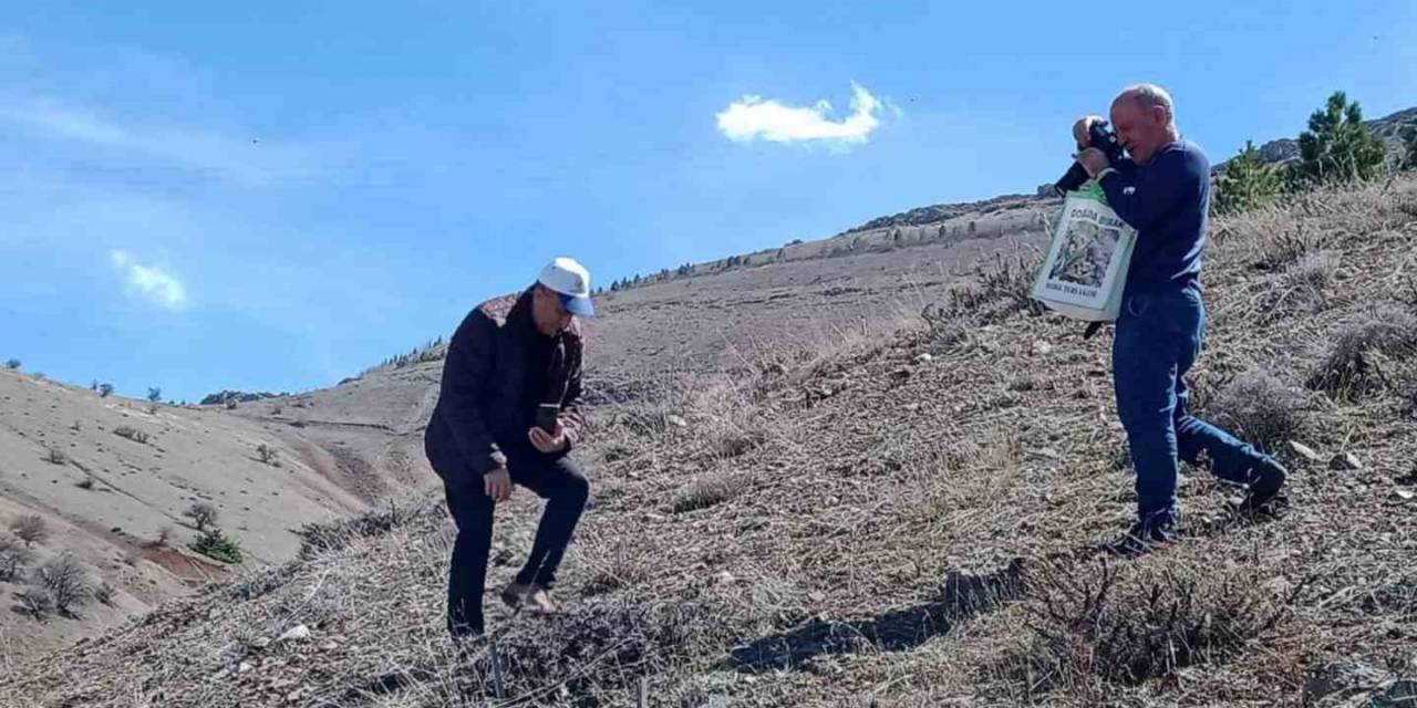 Elazığ’da ’baskil Ters Lalesi’  İzleme Çalışması Yapıldı