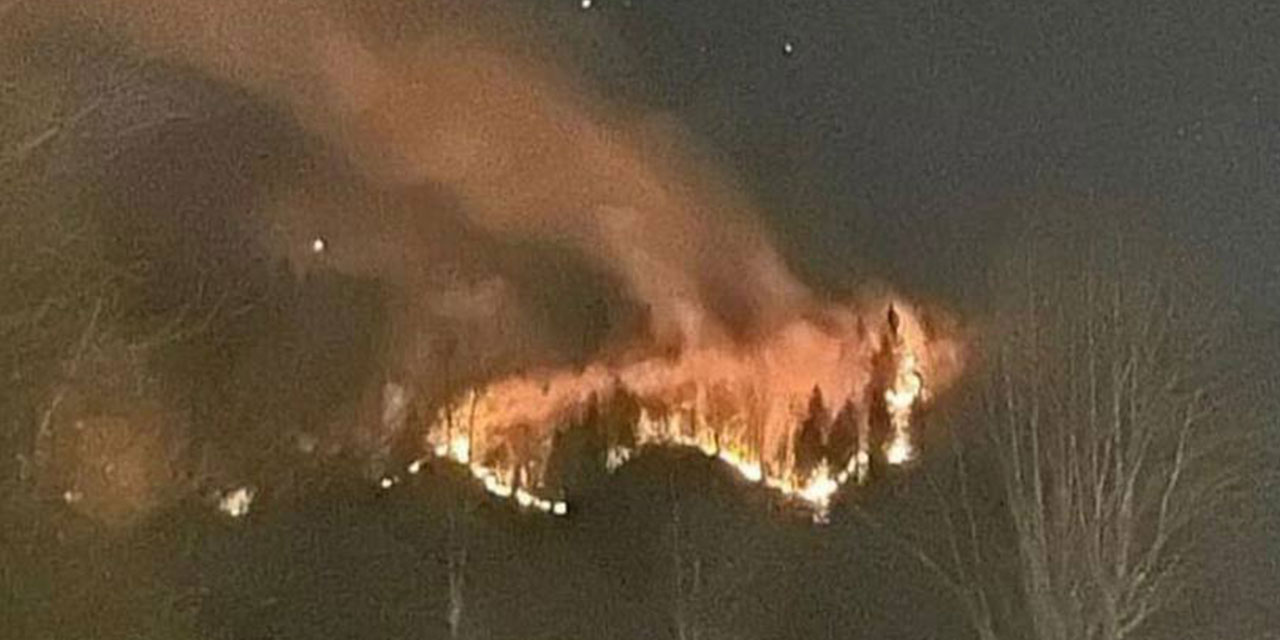 Rize’de Ormanlık Alanda Çıkan Yangın Kontrol Altına Alındı