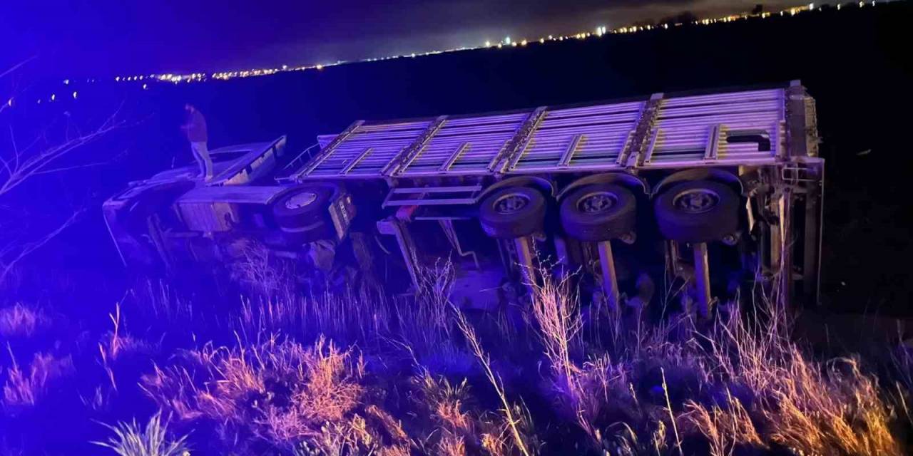 Yoldan Çıkan Kamyon Tarlaya Devrildi: 1 Yaralı