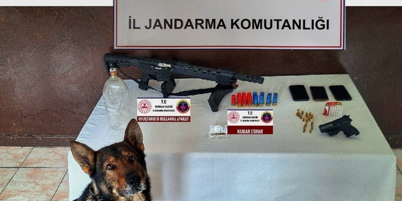 Erzincan’da Jandarmanın 1 Aylık Faaliyeti Açıklandı