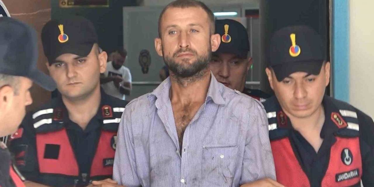 Ormanı Yakıp Mahkemede "Orman Sevdalısıyım" Diyen Sanığa 8 Yıl Hapis