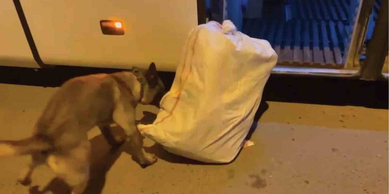 Yolcu Otobüsünde 23 Kilo 794 Gram Skunk Ele Geçirildi