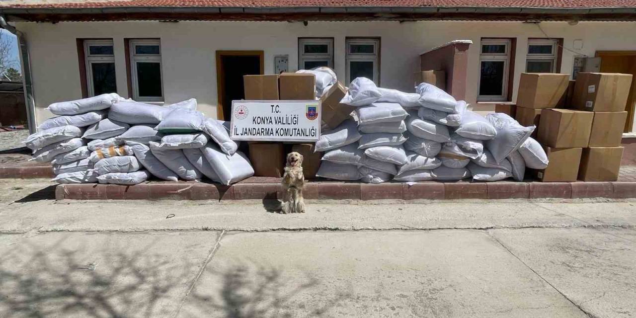 Durdurulan Tırlarda 14 Ton Kaçak Tütün Ele Geçirildi